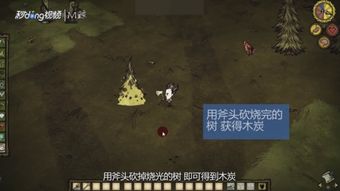 饥荒木炭
