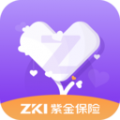 掌上紫金安卓版