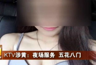 ktv娱乐游戏,欢乐无限