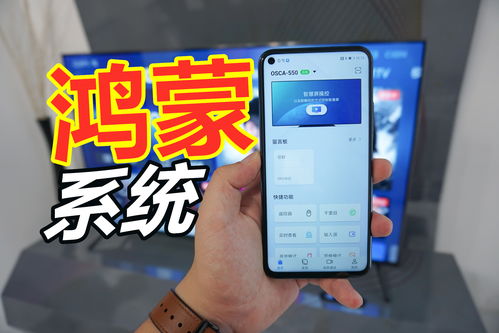 华为安卓系统怎么关5g,华为安卓系统5G开关操作指南