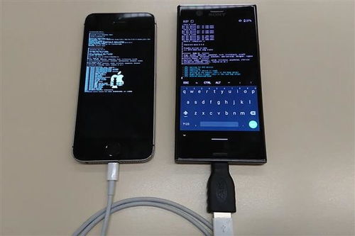 安卓手机 刷 linux系统下载官网,官网指南详解