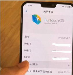 vivox21安卓p系统怎么设置,具体步骤可能因系统版本或软件更新而略有不同。