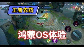 鸿蒙系统玩王者怎么还是安卓区,体验无缝连接