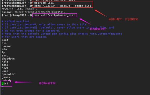 linux系统的ftp工具,Linux FTP工具使用概述