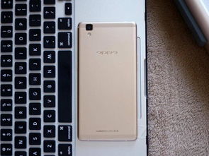 为什么oppo等手机都是安卓系统,OPPO等手机品牌的选择与优势