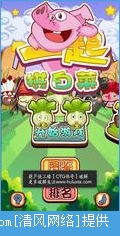 白菜系统和安卓一起,创新科技引领未来智能生活