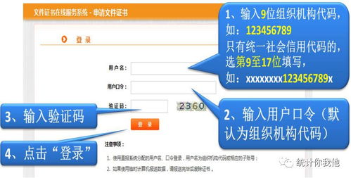 直报系统连接工具,高效便捷的数据传输新利器